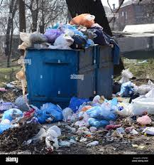 Best Recycling Services for Junk  in Broadview Park, FL